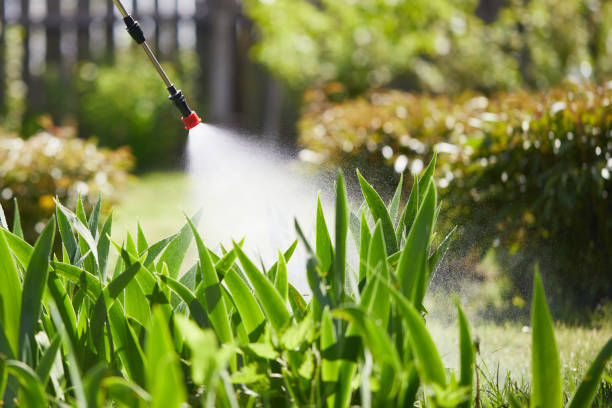 24/7 Emergency Cockroach Control experts in Lexington, SC